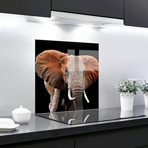 Splashback Backsplash Tempered Glass Heat Resistant Toughened Decorative – 70 x 65 cm – 4 mm Thick – Perfect Behind Gas, Ceramic and Induction Cookers – Easy to Clean