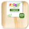 FOOGO Green 200pcs Disposable Palm Leaf Plates, 9(23cm) Large Square, Eco Friendly Biodegradable Compostable Like Wooden, Bamboo, Paper Plates for Hot Food, Picnic Wedding Parties