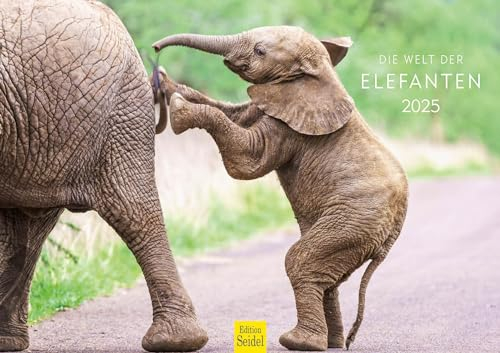 Edition Seidel Premium Kalender Die Welt der Elefanten 2025 Format DIN A3 Wandkalender Tierkalender Natur Steppe Wasser Elefant Kuh Bulle Kalb Herde Wildtiere