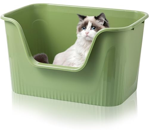 Duscdesp Katzenklo Offen Groß 64x45x33cm, Katzentoilette Hoher Rand Ohne Deckel Katzen Klo Cat Litter Box Spritzwassergeschützt für Große Katzen, Kleine Kätzchen Toilet XXL Toilette, Grün