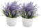 Mipcase 2 Pièces Décoration de Bonsai Artificiel Lavande Plantes Potted Faux pour Intérieur Décor de Table Évoquant la Naturelle