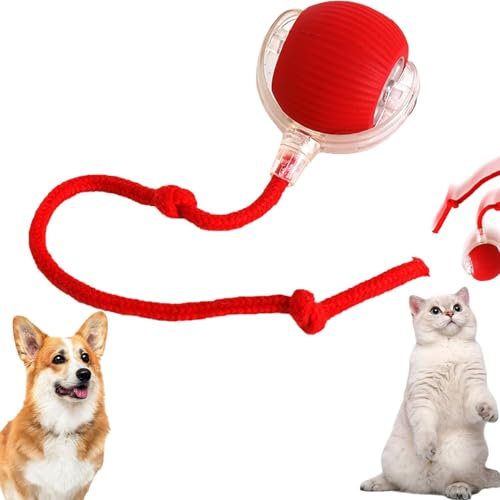 RUICUBEI Chewie Rolling Ball, interaktives Spielzeug für Katzen, interaktives Spielzeug für Hunde mit LED-Licht, automatisches 360-Grad-Drehspielzeug für Katzen und Hunde (mit Kordel, rot)