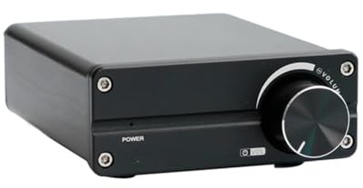 Agwuoetr 100W D100 TPA3116 Digital Power Amplifier Single Sound Channel Class D Sound Subwoofer for Home Audio Stereo System