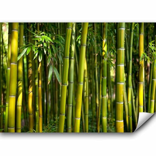Fototapete murando 250x175 cm Vlies Tapeten Wandtapete XXL Moderne Wanddeko Design Wand Dekoration Wohnzimmer Schlafzimmer Büro Flur Bambus Baum Bäume Bambusweld Natur Wald grün Asien b-B-0072-a-b