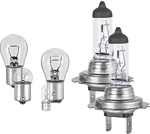 Formula 1 H7 Ersatzlampenbox SB 700 Halogen Autolampen Box Lampen und Sicherungen Auto Ersatzkasten, 10-teilig