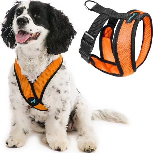 Gooby Comfort X Head in Harness,Orange, X-Large,No Pull Small Dog Harness,Patentierter Würgefreier X Frame,On The Go Hundegeschirr für mittelgroße Hunde No Pull, Kleine Hunde für Innen und Außen