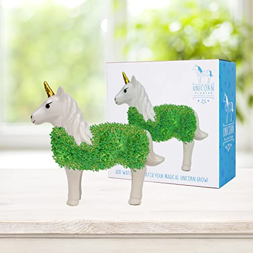 GR Gift Republic GR452177 - Pianta unicorno in ceramica per la coltivazione di semi di chia, crescione, germogli di erba medica, bianco