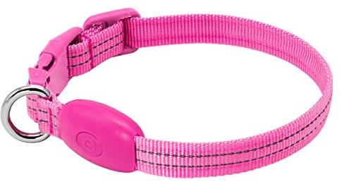 KOSKILL Leuchthalsband Hund Wiederaufladbare USB LED Hundehalsband Wasserdichtes Leuchtendes Hunde Halsband Einstellbare Super Helle für Kleine Hunde (Pink, S)