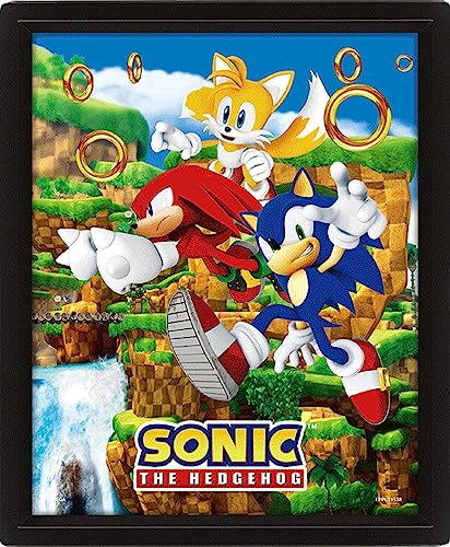 Pyramid International Sonic the Hedgehog Poster in 3D (Catching Rings Design) Lenticular 3D Wall Art and Poster in Black Picture Frame 25cm x 20cm x 1.5cm - Official Merchandise