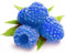 1000 pezzi di semi di lampone Framberry Delicious Fruit Home Garden Yard Farm Plant per piantare giardini Blu Semi Di Lampone