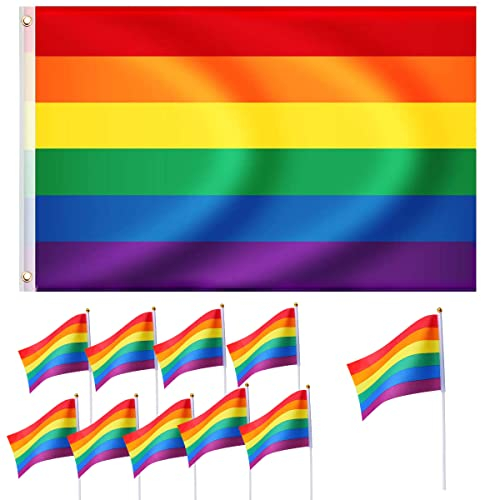 Bandera Arcoiris, RosyFate Bandera LGBT Grande 150 x 90cm, 10pcs Bandera Orgullo Pequeña, Gay Pride Flag, Colores Vivos, para Pride Festival, Fiestas, Desfiles, Reuniones al Aire Libre