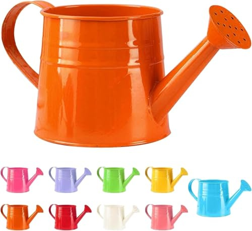 Petite arrosoir pour plantes d'intérieur 1L - Petite arrosoir en métal - Pot à fleurs - Arrosoir de jardin - Arrosoir vintage - Arrosoir pour plantes - Outil de jardin (1 pièce/Orange)