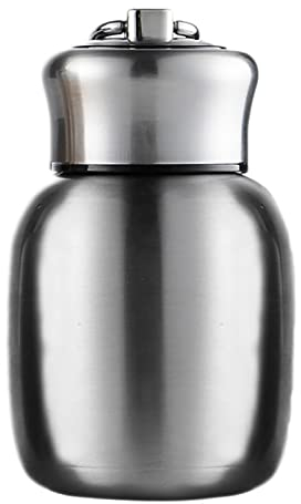 Petite bouteille isotherme de 200 ml - Bouteille d'eau isotherme sans fuite - Bouteille d'eau chaude et froide Taille unique Argenté