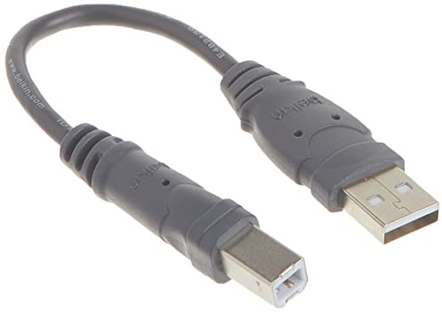 Belkin F3U133-06INCH Components USB A/B Device Daisy Chain for USB Hub (6 Inches)
