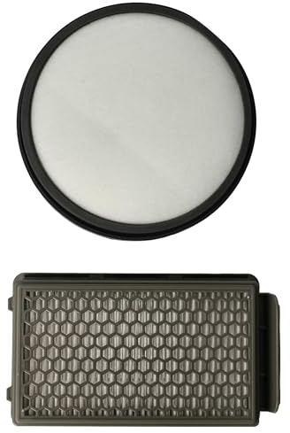 vhbw Set filtros compatible con Tefal Moulinex MO3718PA, MO3723PA, MO3751PA, MO3774PA, MO3786PA aspiradora, 2x filtro (Hepa, premotor)