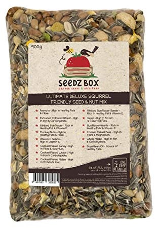 Seedzbox Eichhörnchenfutter Samen- und Nussfutter Mix - Natürliche Leckereien und Snacks für Wilde Eichhörnchen – Affennüsse – Squirrel Food – 900 g