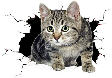 3D Hund Glas Auto Aufkleber, 3D Katze Kätzchen Tier Auto Aufkleber Lustige Persönlichkeit Simulation Motorrad Dekoration Auto Styling Aufkleber