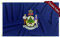 FLAGWIN Maine Flagge, 90 x 150 cm, 3-lagig, doppelseitig, Polyester, Flagge mit Messingösen, lebendige Farben und lichtbeständig, Staat Maine Flaggen, 7,6 x 12,7 cm für den Außenbereich