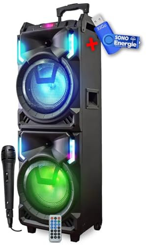 INOVALLEY MS01XXL Enceinte Nomade Karaoke Trolley - Bluetooth - 800W+clé USB 32Go