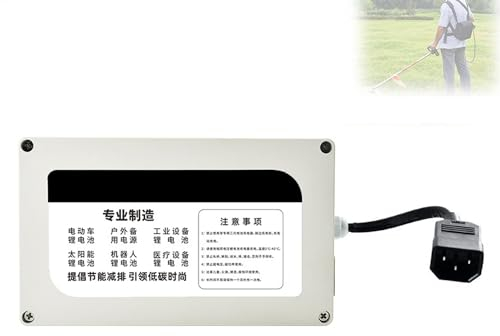 WILLQ 24V 12AH 20AH 30AH 50AH 60AH Lithium-Ionen-Akku, wiederaufladbarer Ersatzakku, tragbarer Li-Ionen-Akku mit Ladegerät für Heckenschere-Backup-Akku,24v60ah