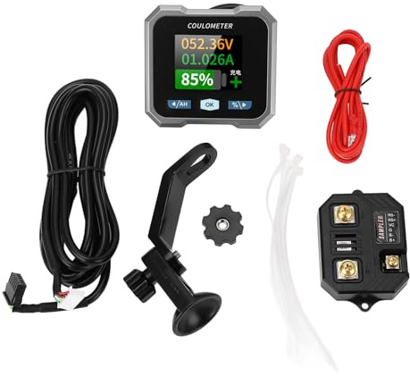 Fydun Smart Battery Monitor BT Battery Monitor mit Shunt für Motorrad -Dreirad RV 10-100V 50A