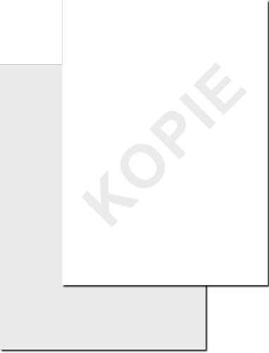 Kopierschutzpapier, DIN A4, 90g/m², 100 Blatt, ohne Wasserzeichen