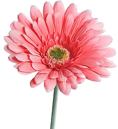 matches21 Gerbera Kunstblume für Blumengestecke künstliche Blume Blüten Kunststoff 1 STK Ø 10x56 cm - rosa