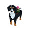 Pflanzgefäß für Hunde Cartoon-Tierform niedlicher Hund Blumentöpfe für Garten Blumen Luftpflanzen Heimdekoration Geschenk Berner Sennenhund