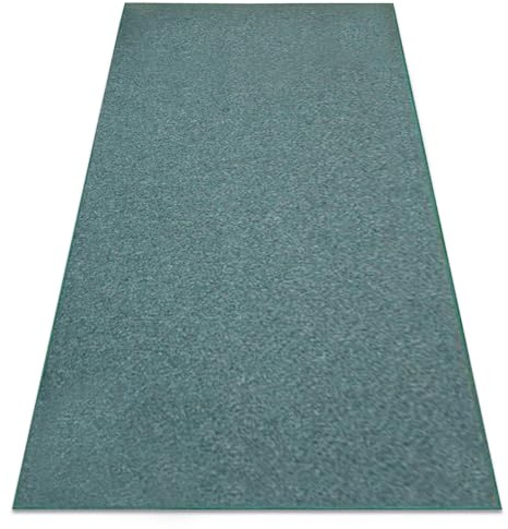 rugsx Teppich Superstar 470 für Wohnzimmer und Schlafzimmer grün 300x350 cm