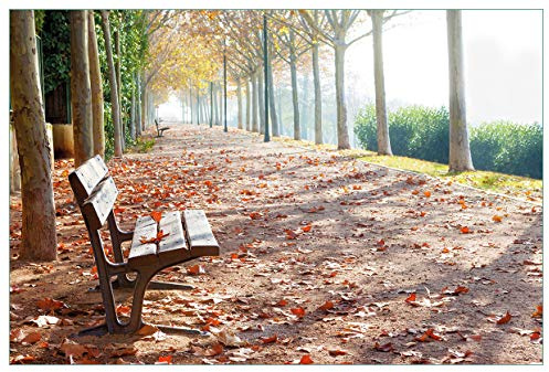 Wallario Küchenrückwand selbstklebend 90 x 60 cm, Motiv: Einsame Parkbank an Einer Allee - Herbststimmung | Spritzschutz abwischbar & pflegeleicht