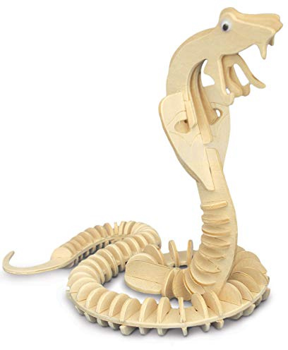 Quay Snake Woodcraft Construction Kit FSC