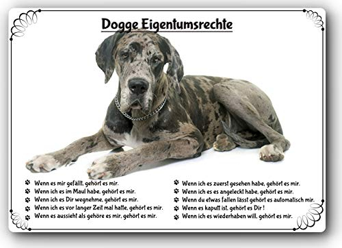 Blechschild / Warnschild / Türschild - Aluminium - 20x30cm Eigentumsrechte Motiv: Deutsche Dogge (02)