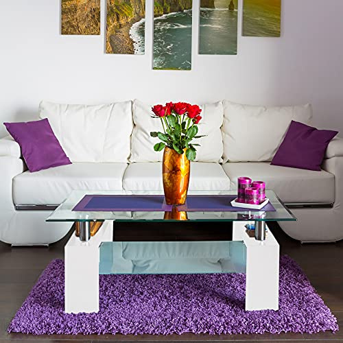 Dmora Moderner Couchtisch, Platte aus gehärtetem Glas, Wohnzimmertisch mit Regal, 110x60h52 cm, weiße Farbe