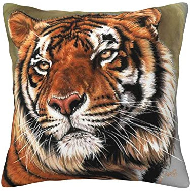 ASEELO Cute Tiger 45,7 x 45,7 cm dekorative Kissen, quadratisches Kissen für Couch, Bett, Sofa, Bank, Stuhl