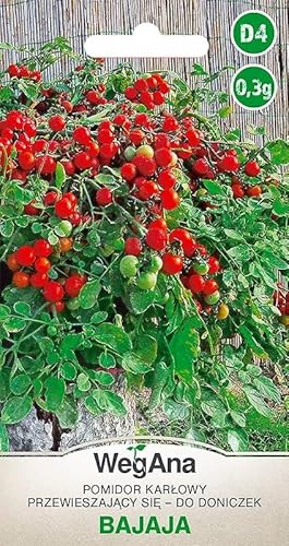 WegAna Pomodoro Bajaja Semi di pomodoro 0,3g, Semi di ortaggi robusti, Semi di ortaggi, Coltivazione di semi, Semi per serra