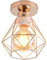 TOKIUS Deckenlampe, 16CM Vintage Deckenleuchte im Industrial Design Retro Lampe aus Eisen Käfig E27 Fassung Pendelleuchte (1 Stück - Gold)