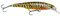 Savage Gear Gravity Twitch SR - Premium Süßwasser Raubfischköder für Angler, magnetisches Weitwurfsystem, Darten und Kicken Action für Barsch, Hecht, Forelle, Barsch, Rapfen & Lachs Hecht 14,5 cm