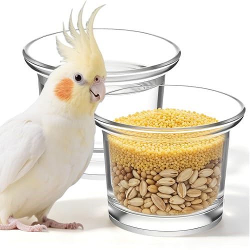 TOYANDONA 2 Pièces Coupelle en Verre Élégante pour Mangeoire à Oiseaux Extérieure Suspendue, Facile à Installer, pour Balcon et Jardin, Attire Les Petits Oiseaux Sauvages