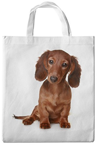 Merchandise for Fans Einkaufstasche Tragetasche Shopper Motiv: Dackel/Teckel/Dachshund Langhaardackel [13] Weiß M