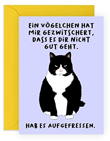 Central 23 Lustige Katze-Grußkarte für Männer Frauen – EIN VÖGELCHEN HAT MIR GEZWITSCHERT, DASS ES DIR NICHT GUT GEHT - Gute Besserung Karte – Ermutigungskarte – Geschenk für Freund