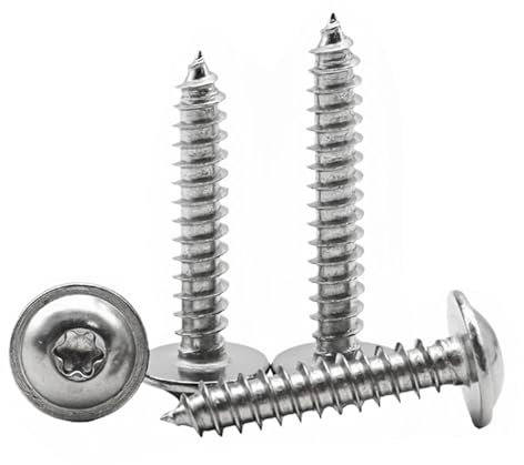 FandWay Viti Autofilettanti a Testa Tonda Torx,Viti Per Legno M4x8/12/16/20/25mm,Viti Testa Piatta con Rondella Completa Filettatura Acciaio Inox A2 V2A Per DIY,Riparazioni Domestiche,Legno.