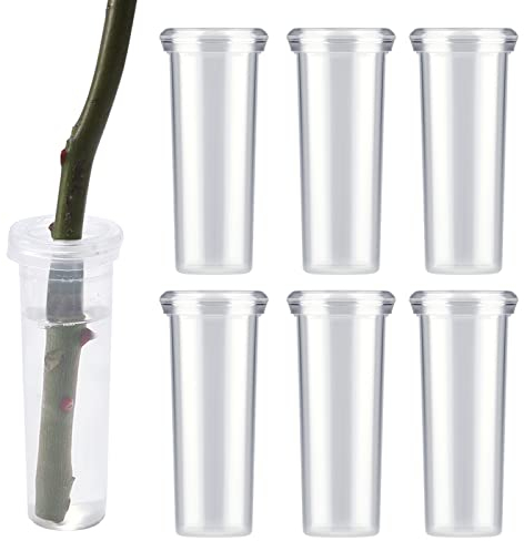 AIEX 6 pcs Tubes à Eau pour Fleurs avec Couvercle, 10,8x3,6 cm Grands Tube en Verre pour Fleur en Plastique, Tube à Fleurs Arrangement de Coupe d'Asclépiade pour Fleurs Fraîches (Transparent)