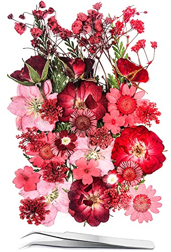 15 Verschiedene Arten von 37 Stück Rosa Getrockneten Gepressten Blumen für Harzformen. Echte, natürliche gepresste Blumen für DIY-Kunsthandwerk, Kerzenherstellung, Nageldekoration
