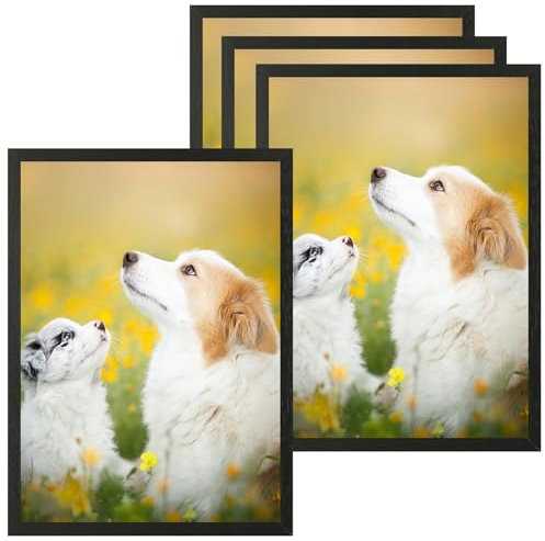 VIIBASE A5 Zertifikat Bilderrahmen,Schwarzer Holz Fotorahmen,Posterrahmen mit Plexi-glas für Wandmontage Display,15x21 cm, 4er Set