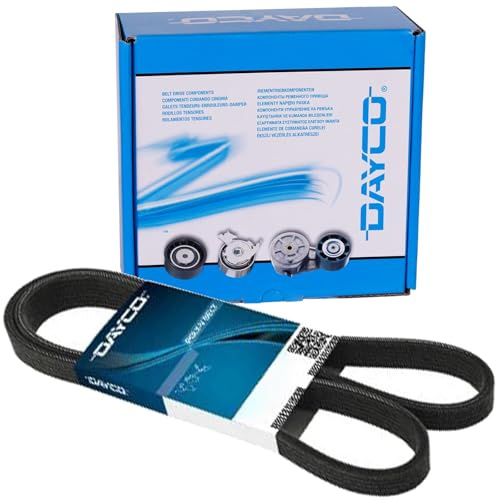 DAYCO kpv191 Kit Keilriemen geriffelt,