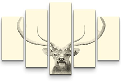 Paul Sinus Art Leinwandbilder | Bilder Leinwand 160x100cm Hirsch mit Wiese