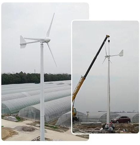 KX-ENERGIE Windkraftanlage 5000W 220V Windturbine 3 Phase AC Horizontaler Windgenerator 5KW für den Heimgebrauch, Projekt, Bauernhof, 3 Glasfaser Blätter Windmühle (220, Volt)