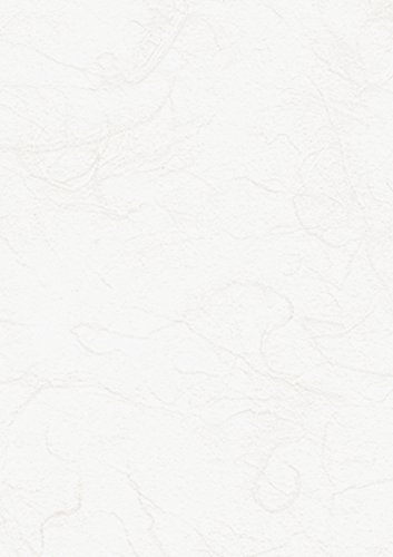 Heyda Strohseide/204719500 70x150 cm 25 g/qm, 1 Rolle, weiß