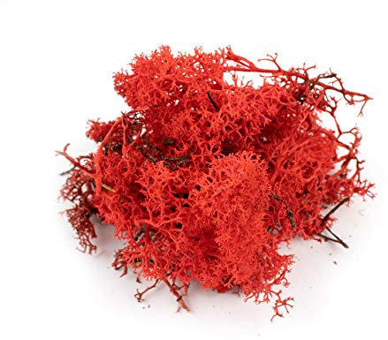War World Scenics Rote Lichen Modell Moos 100g - Flechte Laub Modellbau Modellbahn Wargame Tabletop Gelände Landschaft Baum Busch Hecke Diorama Basing
