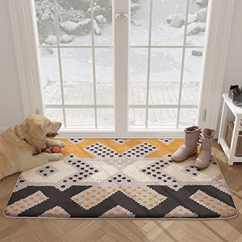 Color G Fußmatte innen 60x90cm, rutschfeste Schmutzfangmatte Waschbar Türmatte Eingangsteppich für Eingangsbereich, Haustür, innen und außen (Braun)